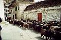 Annapurna Circuit 41